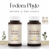 Promotivni paket Urtica Radix (2x) + Silymarin Phytosome (1x) - Image 6